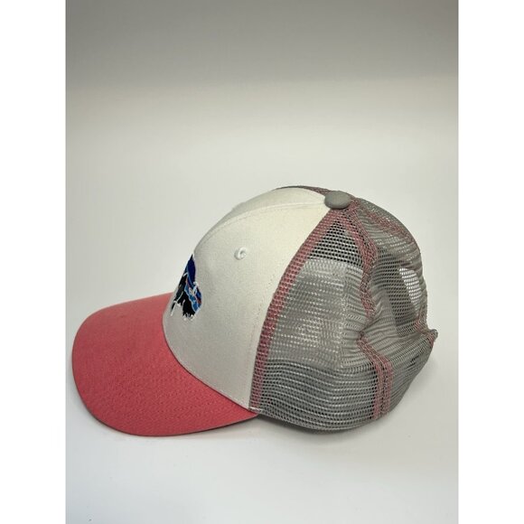 Patagonia Fitz Roy Bison Baseball Cap Hat Womens OS Multicolor Mesh Snapback main image 6